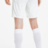 Шорти Puma teamGOAL 23 knit Shorts білий Чол L 704262-04