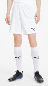 Шорти Puma teamGOAL 23 knit Shorts білий Чол L 704262-04