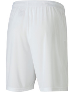 Шорти Puma teamGOAL 23 knit Shorts білий Чол L 704262-04