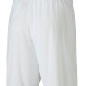 Шорти Puma teamGOAL 23 knit Shorts білий Чол L 704262-04