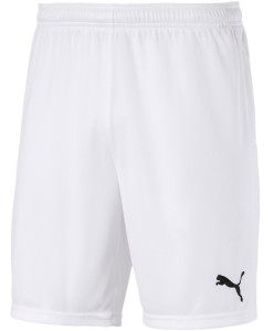 Шорти Puma teamGOAL 23 knit Shorts білий Чол L 704262-04