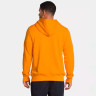 Кофта TNF HALF DOME PO HOODIE YELLOW NF0A4M4BZU3