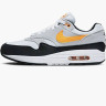 Кросівки Nike Air Max 1 Grey/Black FD9082-104