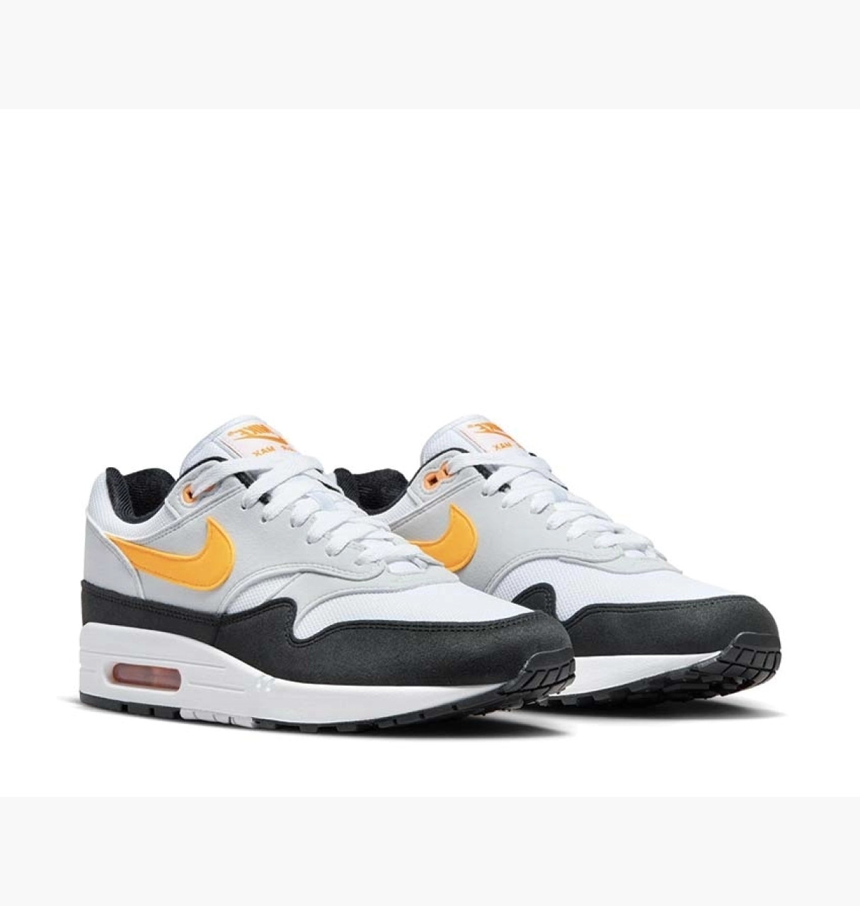 Кросівки Nike Air Max 1 Grey/Black FD9082-104