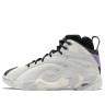 Кросівки чоловічі Reebok Shaqnosis The Big Aristotle Grey GX9663