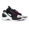 Кросівки Nike Jordan Zoom Separate DH0249-051