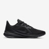 Кросівки Nike Downshifter 10 CI9984-003
