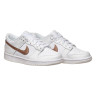 Кросівки Nike DUNK LOW (GS) DH9765-100