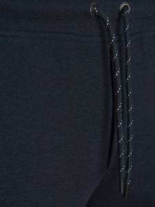 Шорти JJILOGO BLOCKING SWEAT SHORTS VG 12198008 Navy Blazer Jack&Jones L Темно-синій 12198008NAVYBLAZER
