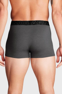 Труси Under Armour Perf Tech 3in 1383891-025