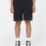 Шорти Dickies JACKSON CARGO SHORT DK0A4YACBLK1