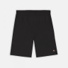 Шорти Dickies JACKSON CARGO SHORT DK0A4YACBLK1