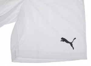 Шорти Puma teamRISE Short білий Чол L 704942-03