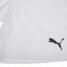 Шорти Puma teamRISE Short білий Чол L 704942-03