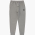 Штани спортивні The North Face Box NSE Jogger Pants NF0A7UOAGVD