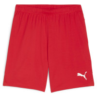 Шорти Puma teamGOAL Shorts 705752-01