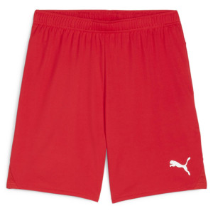 Шорти Puma teamGOAL Shorts 705752-01