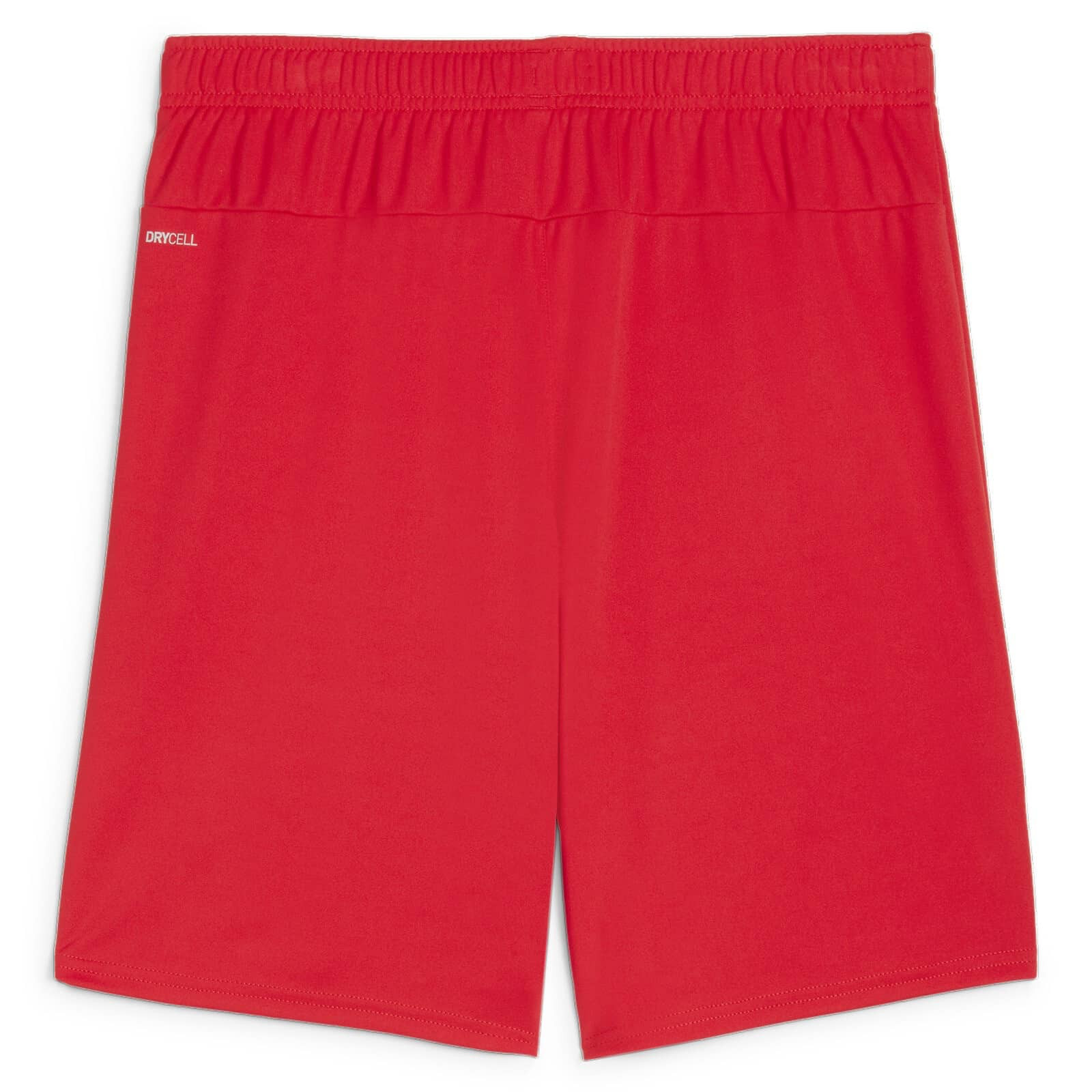 Шорти Puma teamGOAL Shorts 705752-01