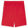 Шорти Puma teamGOAL Shorts 705752-01