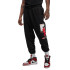 Штани Jordan Flight Artist Fleece Pant DV1601-010
