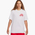 Футболка Nike Sb S90 Dragon White FQ3719-101
