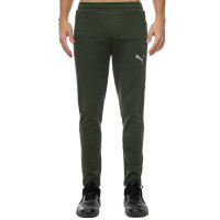 Штани PUMA EVOSTRIPE 675932-31