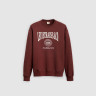 Світшот sweatshirt 387120412