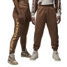 Штани Air Jordan MVP Hybrid Fleece Brown FV7229-223