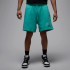 Шорти чоловічі Air Jordan Brk Lbr Gfx Turquoise IB7910-392 Шорти чоловічі Air Jordan Brk Lbr Gfx Turquoise IB7910-392