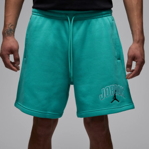 Шорти чоловічі Air Jordan Brk Lbr Gfx Turquoise IB7910-392