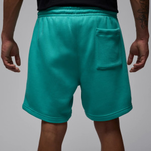 Шорти чоловічі Air Jordan Brk Lbr Gfx Turquoise IB7910-392
