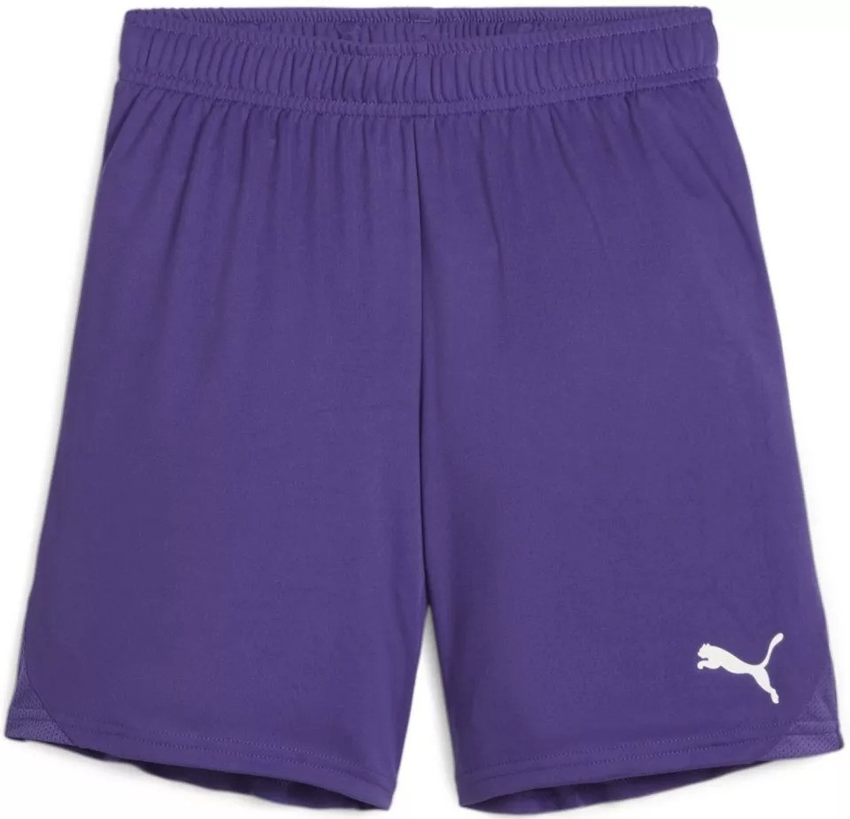 Шорти дитячі PUMA teamGOAL Violet-PUMA 705753-10