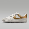 Кросівки Jordan WMNS AIR SKYLINE LOW IQ6586-100