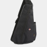 Сумка Dickies ASHVILLE SLING BAG DK0A4Z3IBLK1