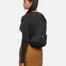 Сумка Dickies ASHVILLE SLING BAG DK0A4Z3IBLK1
