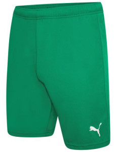 Шорти Puma teamRISE Short зелений Чол L 704942-05