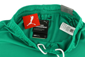 Шорти Puma teamRISE Short зелений Чол L 704942-05