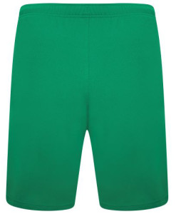 Шорти Puma teamRISE Short зелений Чол L 704942-05