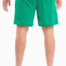 Шорти Puma teamRISE Short зелений Чол L 704942-05