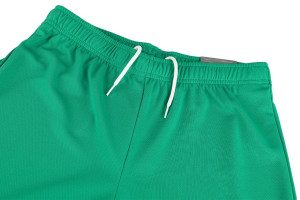 Шорти Puma teamRISE Short зелений Чол L 704942-05