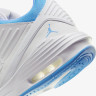 Кросівки NIKE JORDAN MAX AURA 5 DZ4353-104