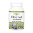 Капсули Natural Factors Olive Leaf 500mg - 90 caps 2023-10-5752