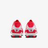 Бутси Nike LEGEND 10 CLUB FG/MG DV4344-800