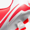 Бутси Nike LEGEND 10 CLUB FG/MG DV4344-800
