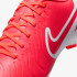 Бутси Nike LEGEND 10 CLUB FG/MG DV4344-800