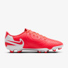 Бутси Nike LEGEND 10 CLUB FG/MG DV4344-800