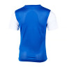 Футболка ігрова Nike Y NK DF TIEMPO PREM II JSY SS DH8389-463