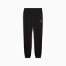 Штани спортивні ESS Sweatpants 68261601 Puma L Чорний 68261601