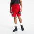Шорти Jordan Dri-Fit Air Mesh Graphic Shorts CZ4771-687