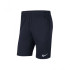 Шорти тренувальні Nike M NK DF PARK20 SHORT KZ CW6152-451